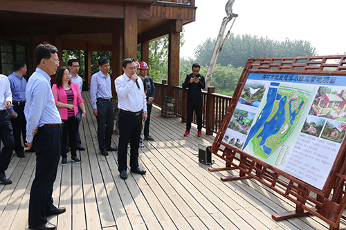党委书记、董事长马永军观摩调研北辰湿地公园项目.jpg